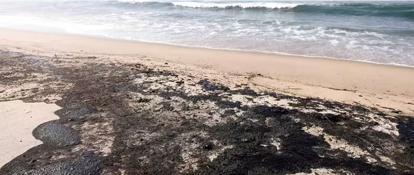 Derrame de petr&oacute;leo