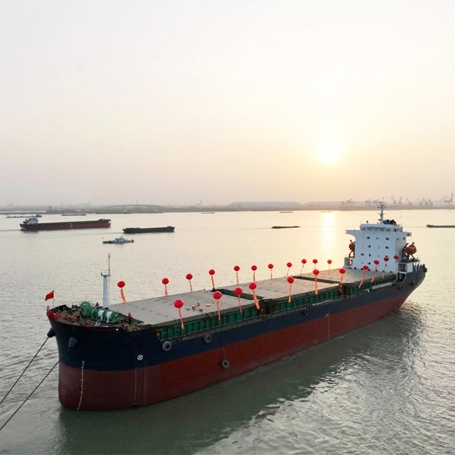 Granelero personalizado de doble casco con grúa 